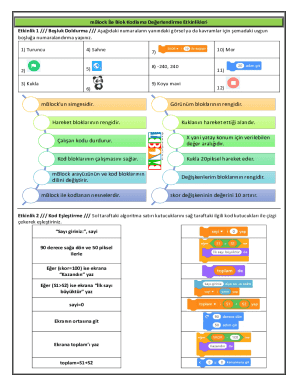 mBlock Coding Evaluation Activities