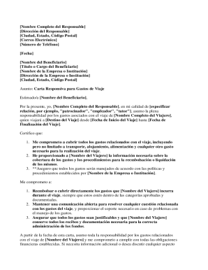 Travel expense responsibility letter