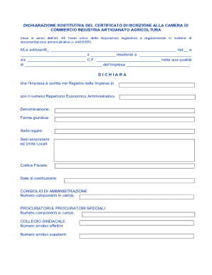 Italian Business Registration Declaration