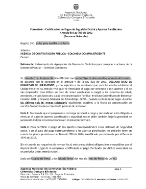 Formato 6 – Social Security Payment Certification