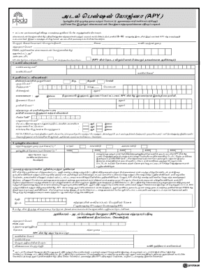 APY Registration Form