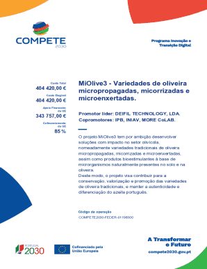 EU Financial Support Form