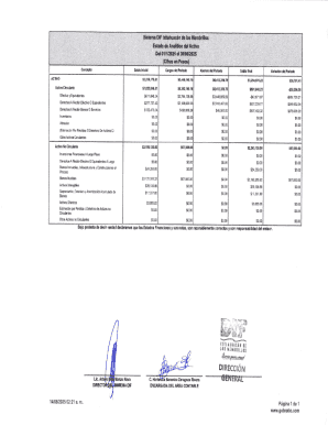 Financial statement template