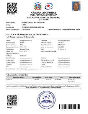 Dominican Republic Asset Declaration Form