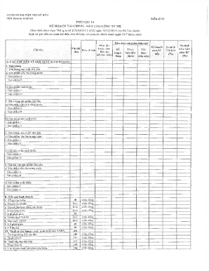 Vietnamese Financial Report Template