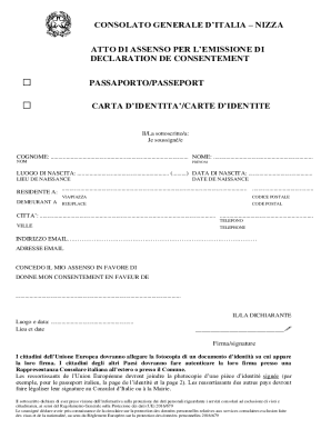 Declaration of Consent for Italian Consulate