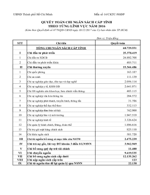 Vietnamese Budget Settlement Form