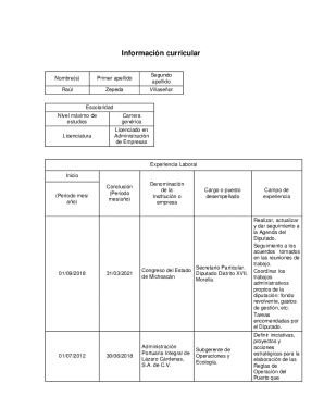 Curriculum Vitae Form