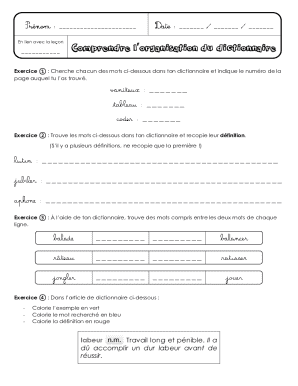 Dictionary Exercise Worksheet