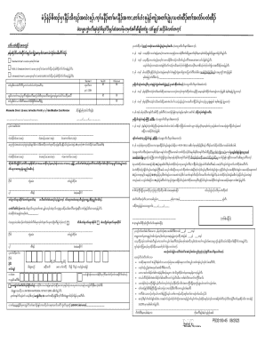 Minnesota Driver's License Application
