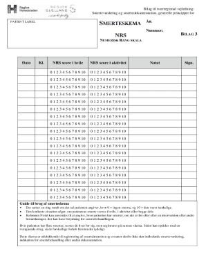 Pain Assessment Form NRS Bilag 3