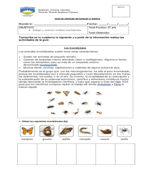 Science Worksheet for 2nd Grade