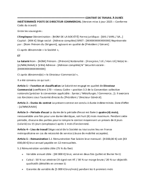 French Commercial Director Employment Contract