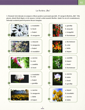Flower Identification Exercise
