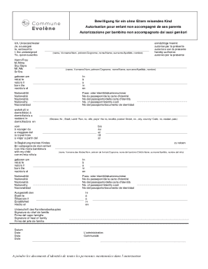 Child Travel Authorization Form