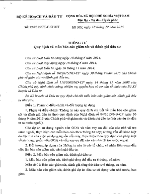 Vietnamese Investment Monitoring Report