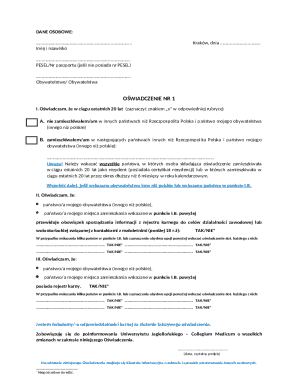 Polish Criminal Record Declaration