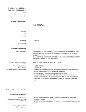 European CV Format