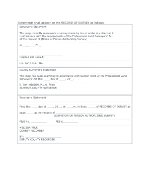 Surveyor's Record of Survey Statement