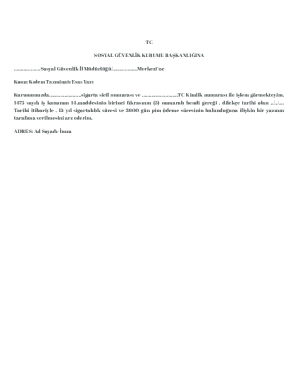 Social Security Pension Statement Request