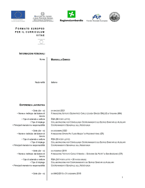 European Curriculum Vitae Form