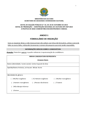 Brazil Hip-Hop Culture National Construction Award Application Form