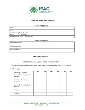 Bolsista Work Plan Form