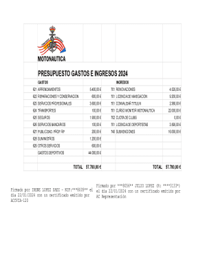 2024 budget template