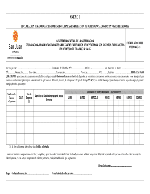 Argentina simultaneous employment declaration form