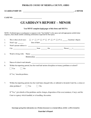 Guardian’s Report – Minor