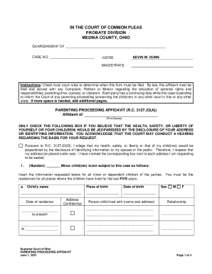 Parenting Proceeding Affidavit