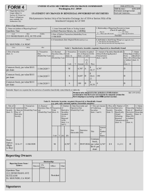 SEC Form 4 Statement of Changes in Beneficial Ownership