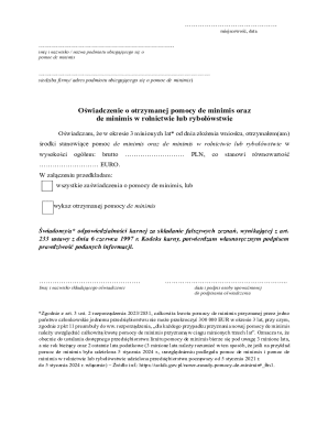 De Minimis Aid Declaration Form
