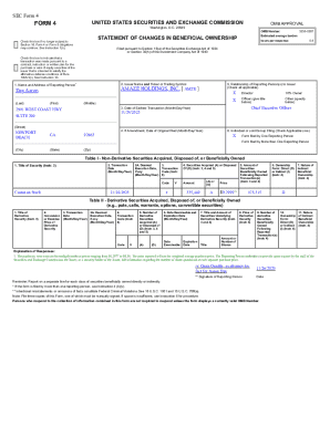 SEC Form 4 Statement of Changes in Beneficial Ownership