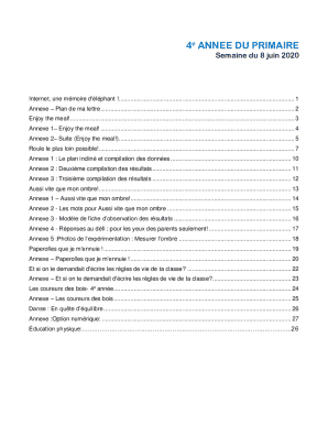 Internet Safety Letter Template