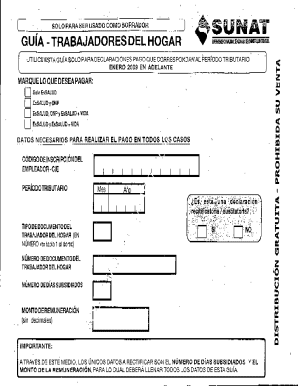 Peru Household Worker Payment Guide