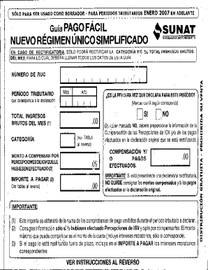 Peru Simplified Tax Payment Guide