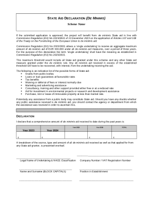 EU De Minimis State Aid Declaration Form
