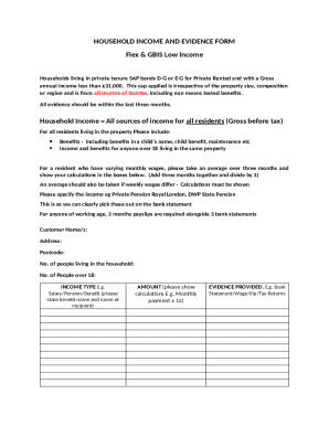 Household Income and Evidence Form