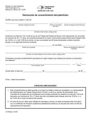New York Minor Work Consent Form