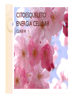 Cellular Energy Worksheet