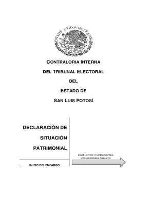 San Luis Potosí Initial Asset Declaration Form