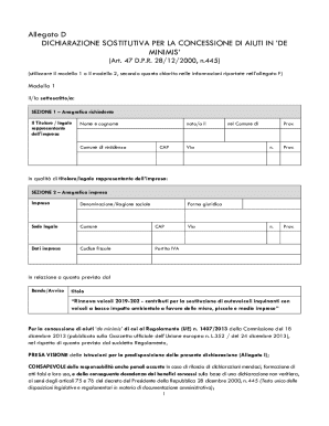 Italian De Minimis Aid Declaration Form