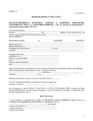 Italian Bidder Declaration Form