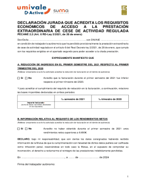Spanish Self-Employed Activity Cessation Declaration