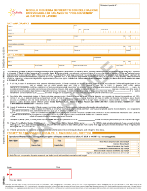 Loan Request Form with Irrevocable Payment Delegation