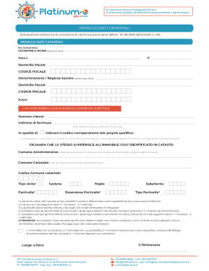 Italian Energy Supply Catastal Data Form