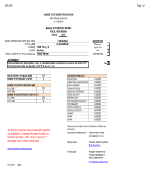 Illinois Annual Statement of Affairs