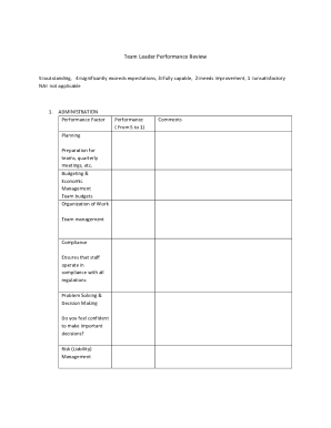 Team Leader Performance Review Form