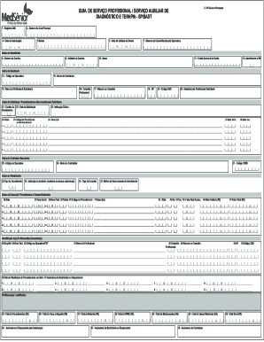 Brazil Professional Service Guide